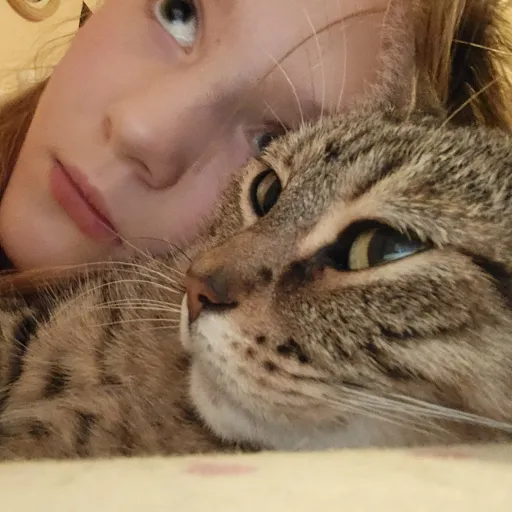 creator My cat & meee's avatar
