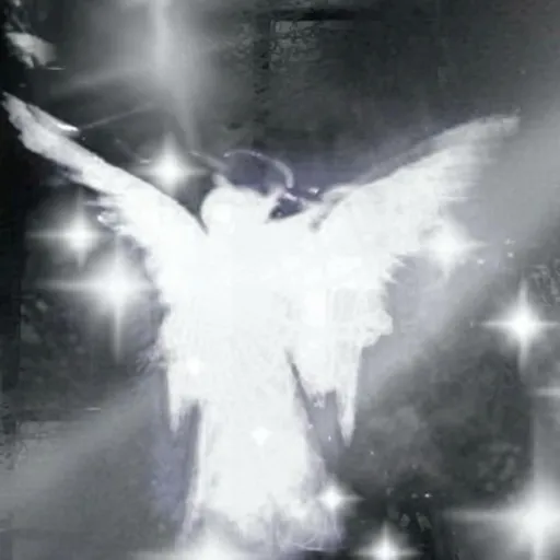 creator the_angels_wing•°'s avatar