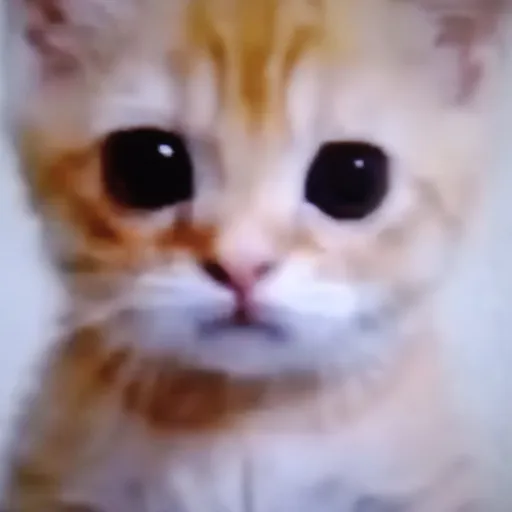 creator 💘CAT GURL💝's avatar