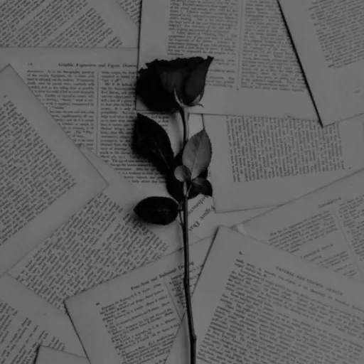 creator ~black rose~'s avatar
