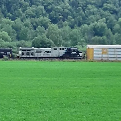 creator NS RAILFANING's avatar