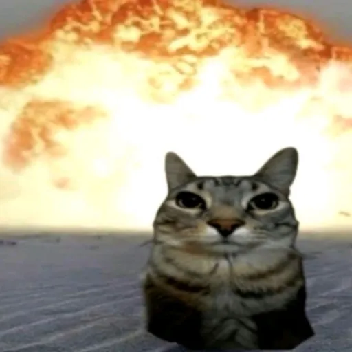 creator ★Chaos_the_cat★'s avatar