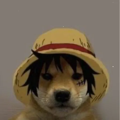 comment user avatar
