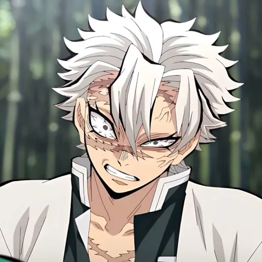 creator 💨Sanemi Shinazu💨's avatar