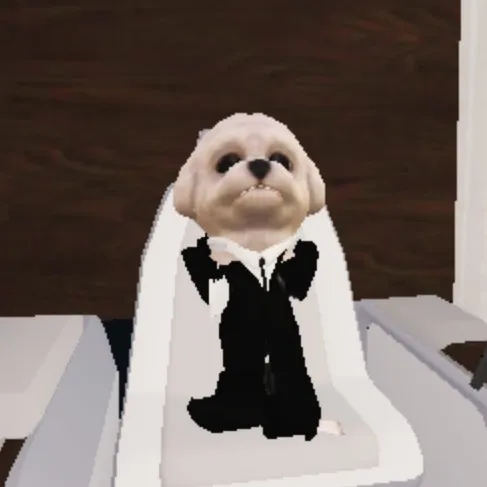 creator MR BARKINGTON's avatar