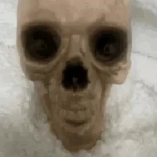 creator Mizpelled-skuul's avatar