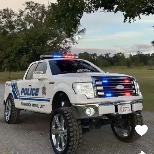 creator Maddielovesbaddies's avatar