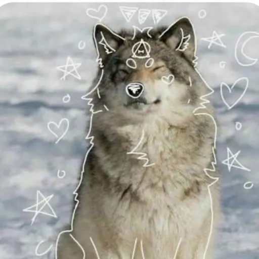 creator ~therian_wolf~'s avatar