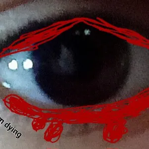 creator monkey1234's avatar