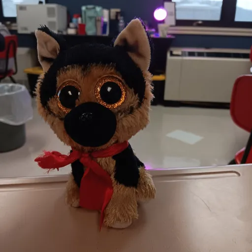 creator Foxeclipes's avatar