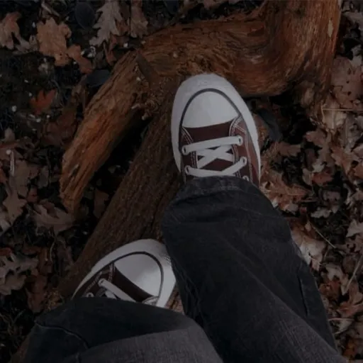 creator (\:xX-REY-Xx:/)'s avatar