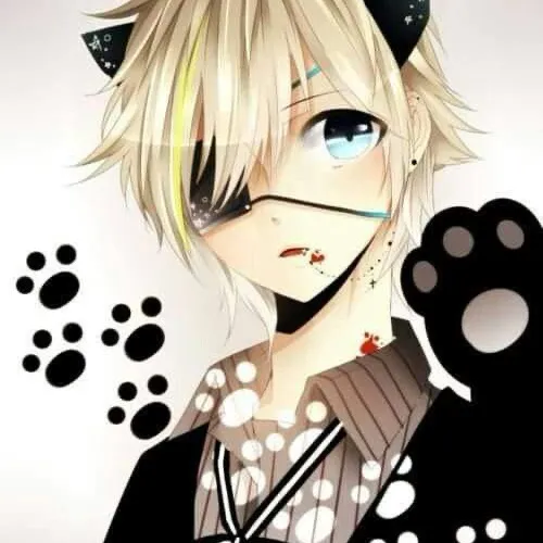 creator sagui.'s avatar