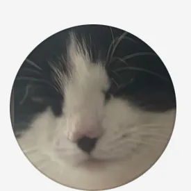 creator OreoCat564's avatar