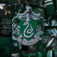 creator ~💚Slytherin gurl🐍~'s avatar