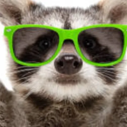 creator realskibdibro's avatar