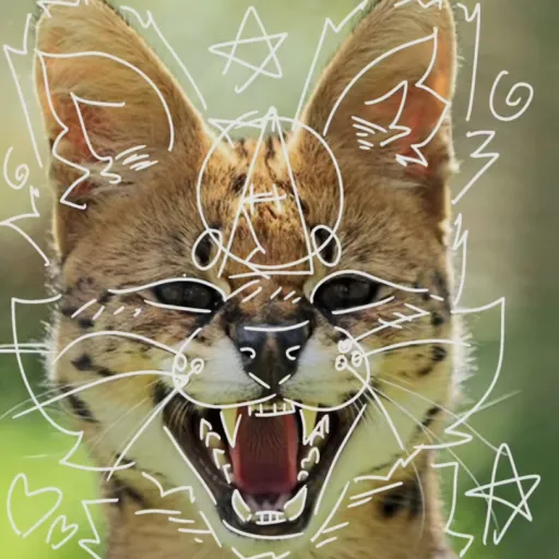 creator .*+^Angel~Star^+*.'s avatar