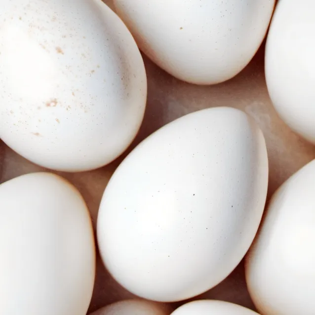 chat with ai character: eggs