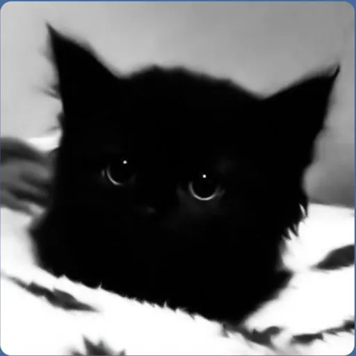 creator ~★Miko★~'s avatar