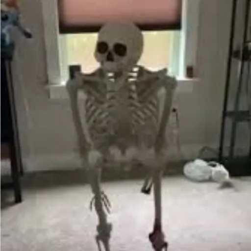 creator skeleton spooky's avatar