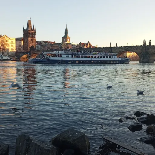 creator adam.zuc.que1's avatar