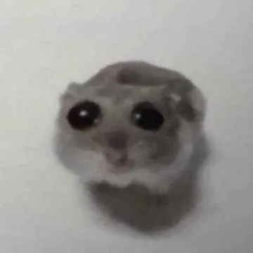creator culetto's avatar