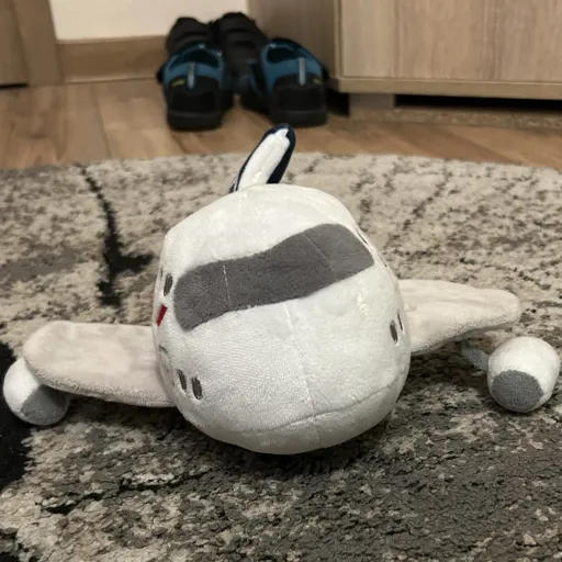 creator Baby plane's avatar