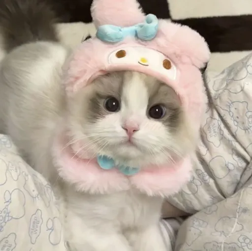 creator ♡strawberrykitty♡'s avatar