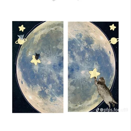 creator COOKIE_DELULU's avatar