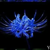 creator bro?!'s avatar