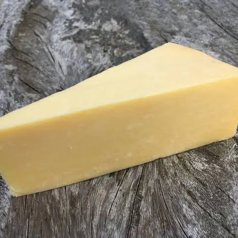 creator cheese69's avatar