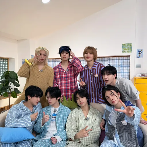 creator ⚠️STRAY KIDS FAN⚠️'s avatar