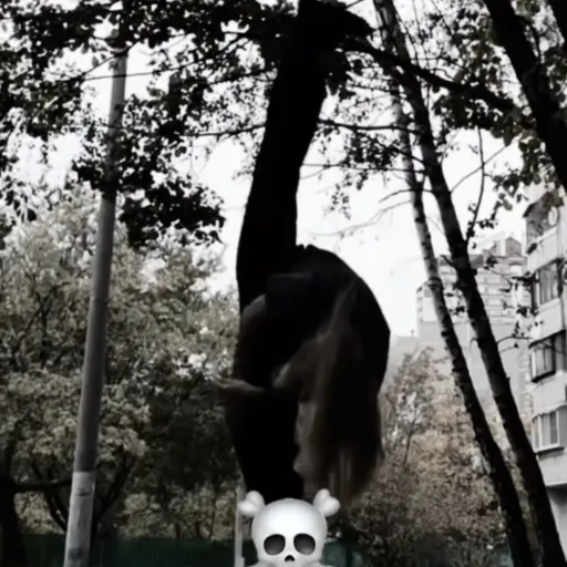 creator forgotten_fox💫's avatar