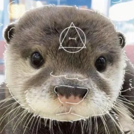 creator Ollie the otter's avatar