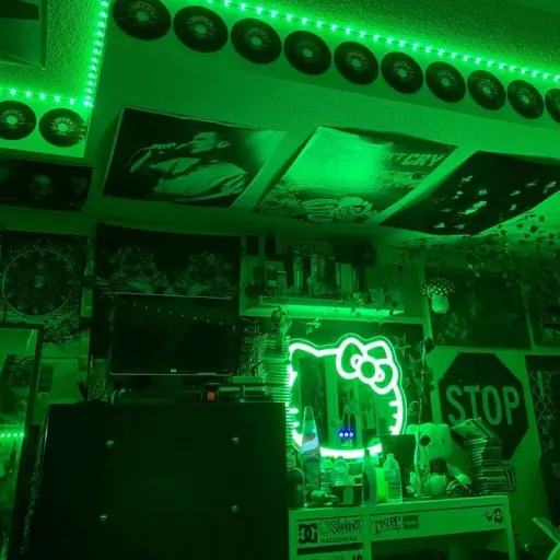 creator 💚🖤ZZerano💚🖤's avatar