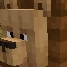 chat with ai character: Minecraft Lion
