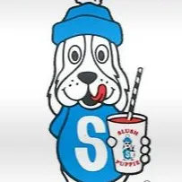 chat with ai character: Slush Puppie