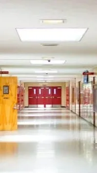 ai character: FNAF  High School background