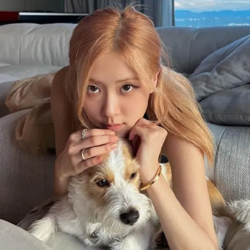 creator Rose_blackpink's avatar