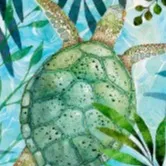 chat with ai character: Theo The Turtle!