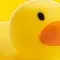 chat with ai character: !Mr.Quack!