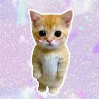 creator ✨Gyat✨'s avatar