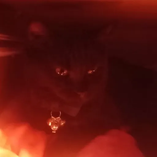 creator paddiethepaws's avatar