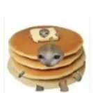 creator Pancake✨✩'s avatar