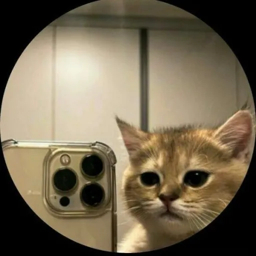 comment user avatar