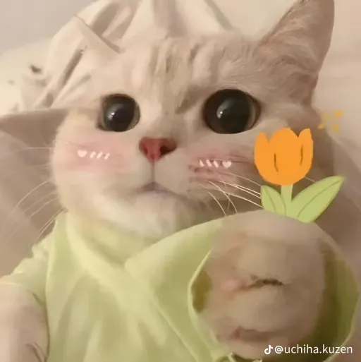 creator park ji hoo's avatar