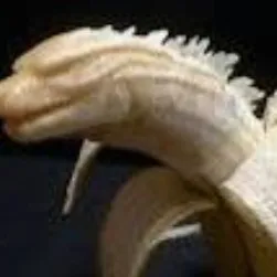 creator banana godzilla's avatar