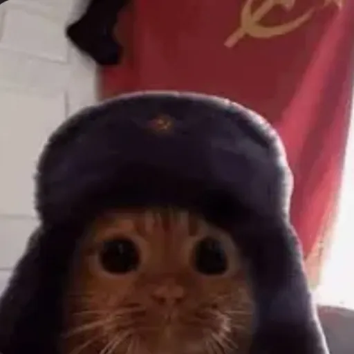 creator Русский к's avatar