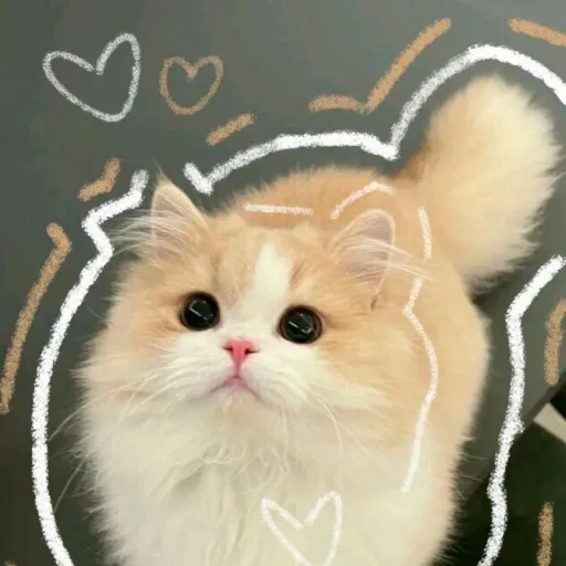creator mae_Ann's avatar