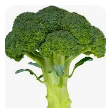 creator Broccoli_1234's avatar