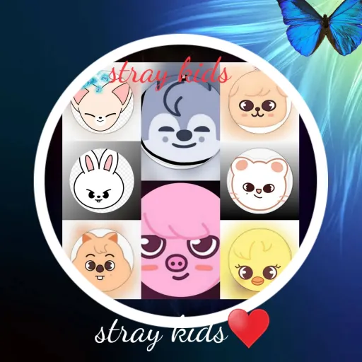 creator FAN SKZ's avatar